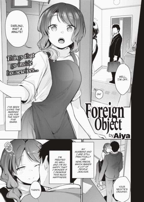 Foreign Object cover