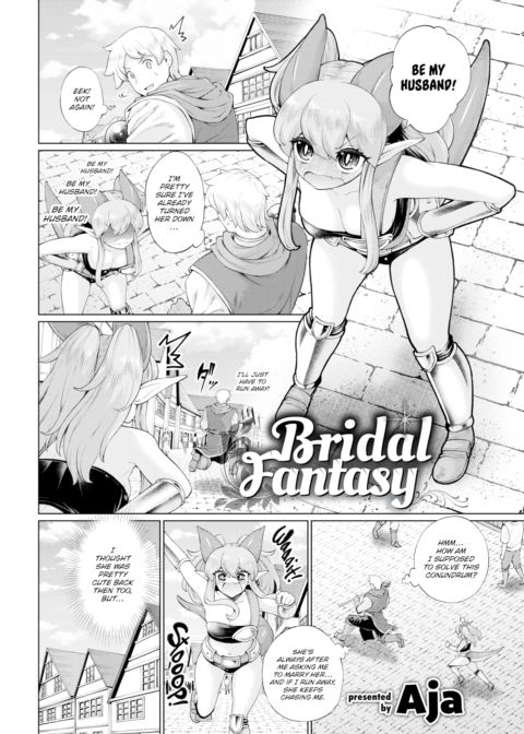 Bridal Fantasy cover
