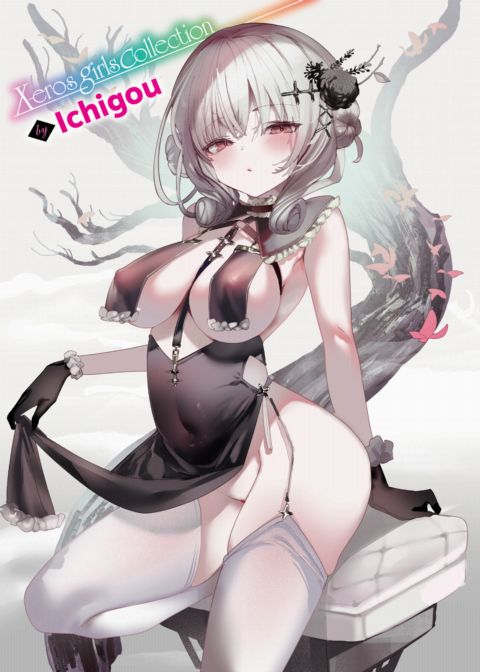 X-Eros Girls Collection #117: Ichigou cover