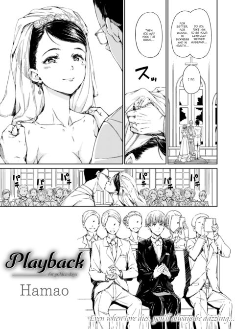 Playback cover