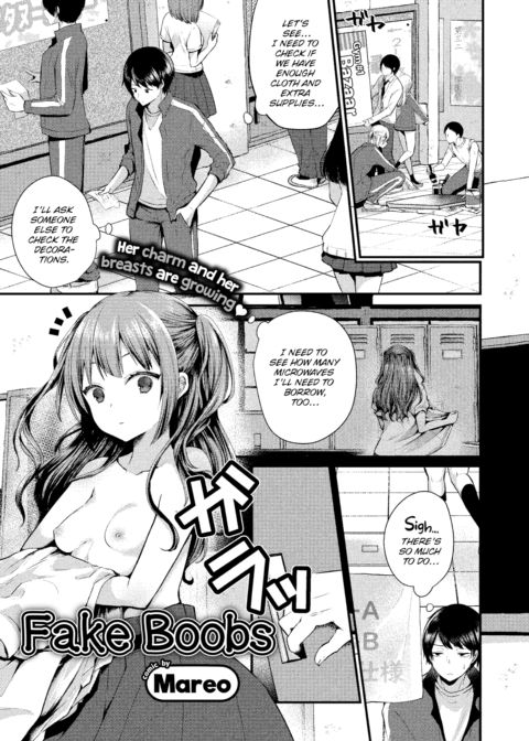 Fake Boobs cover