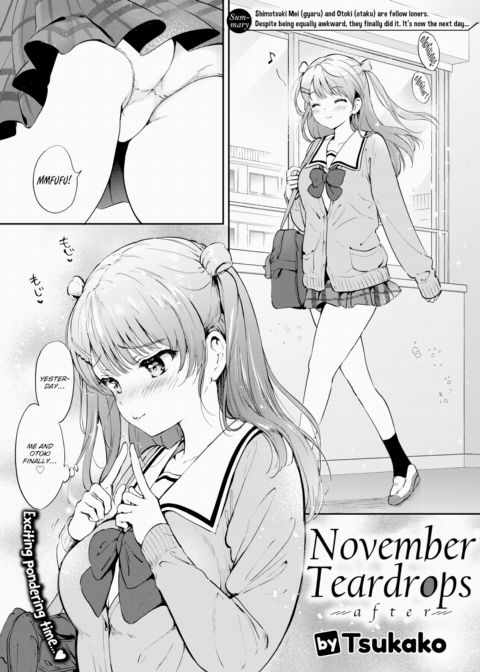 November Teardrops - after cover