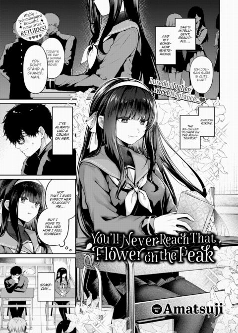 You'll Never Reach That Flower on the Peak cover