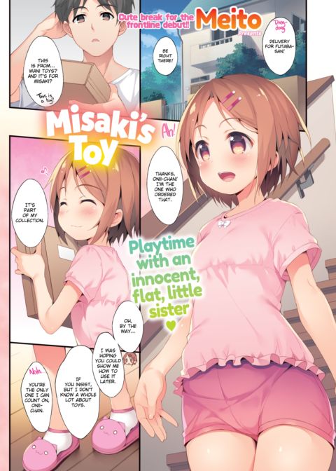 Misaki's Toy cover