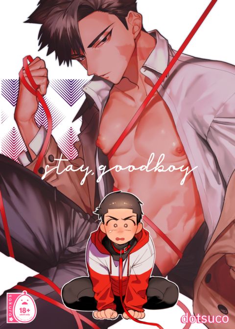 Stay, Good Boy cover