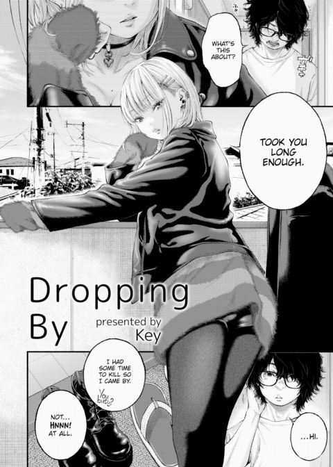 Dropping By cover