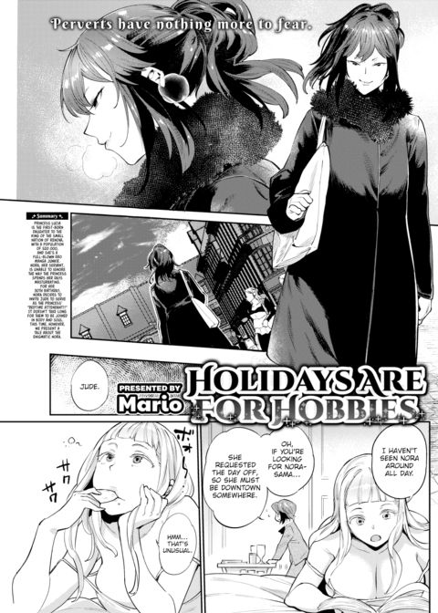 Holidays Are For Hobbies cover