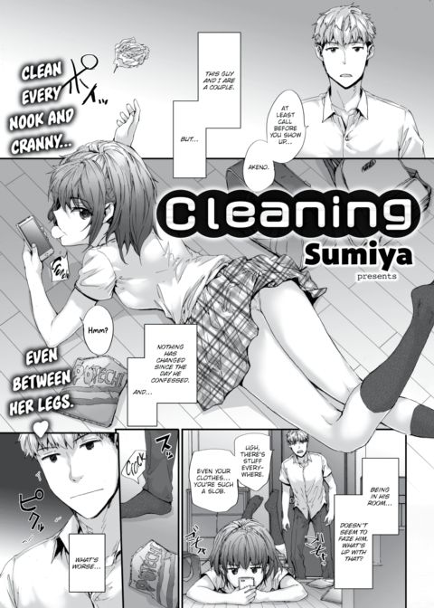 Cleaning cover