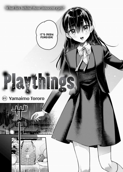 Playthings cover