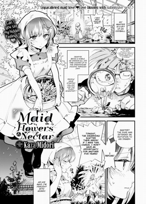 Maid Flowers & Nectar cover