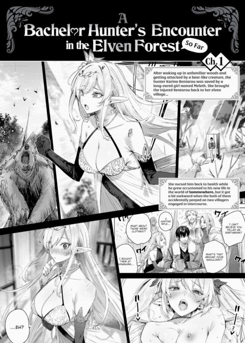 A Bachelor Hunter's Encounter in the Elven Forest ❤ - So Far cover