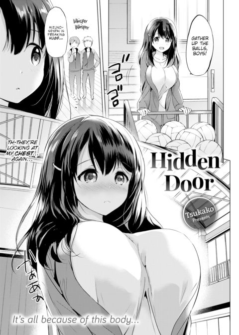 Hidden Door cover