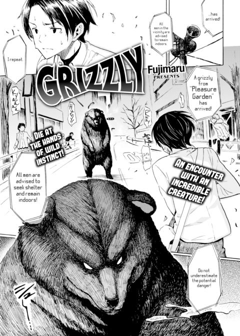 Grizzly cover