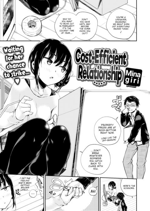 Cost-Efficient Relationship cover