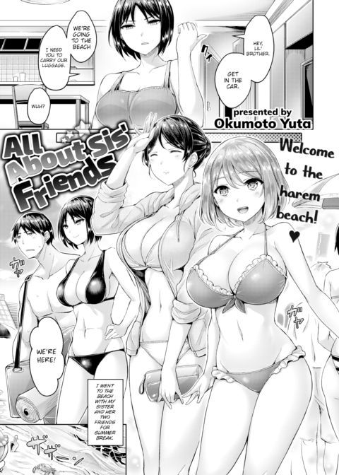All About Sis' Friends cover