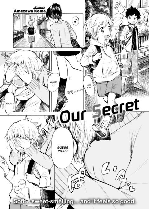 Our Secret cover