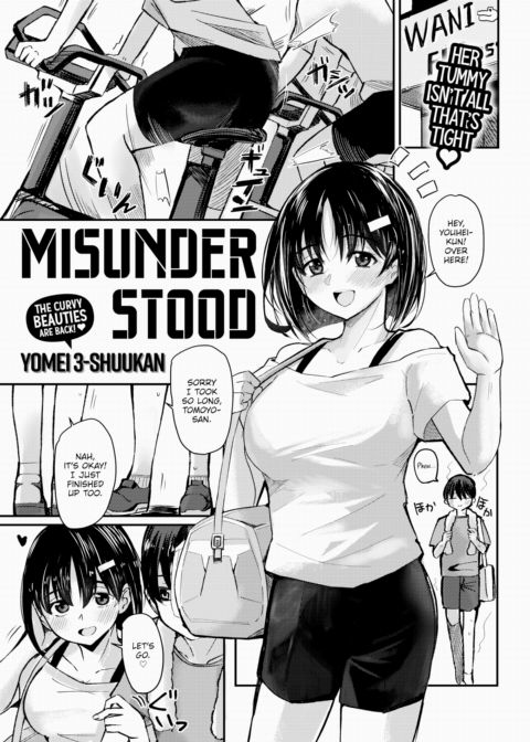 Misunderstood cover
