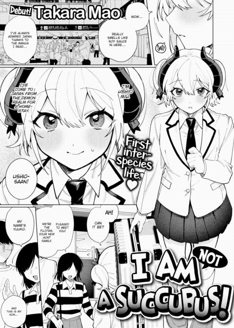 I Am Not a Succubus! cover