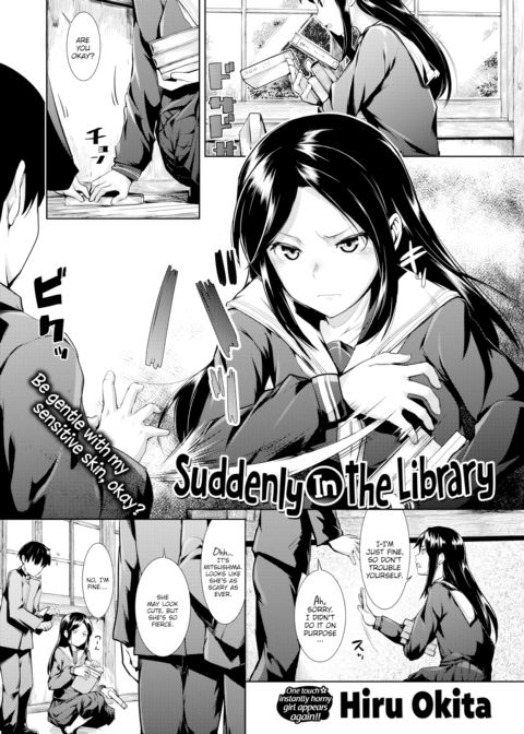 Suddenly in the Library cover