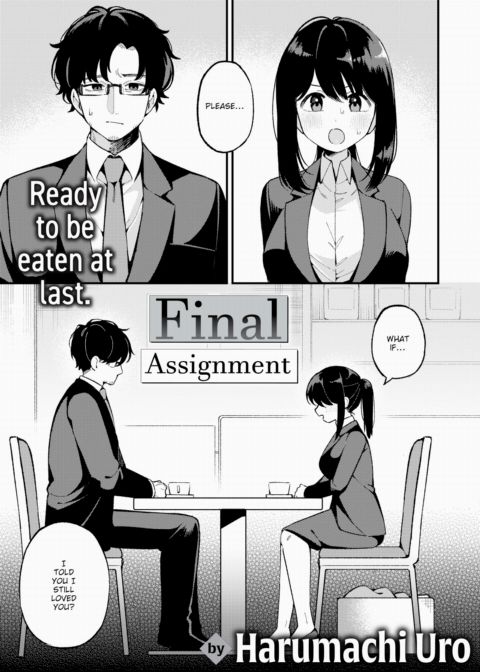 Final Assignment cover
