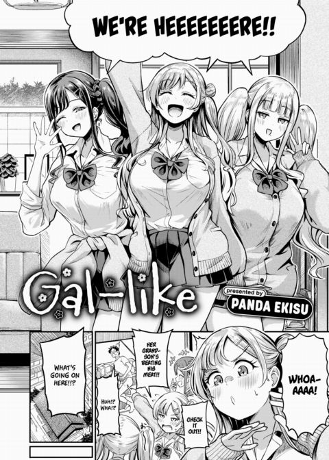 Gal-like cover