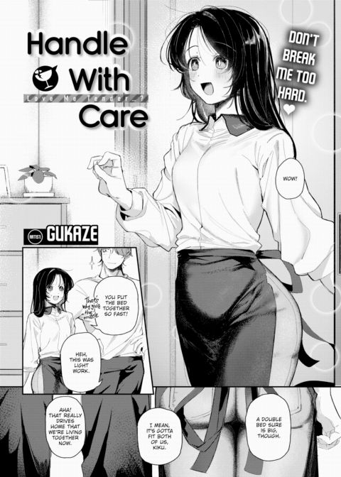 Handle With Care cover