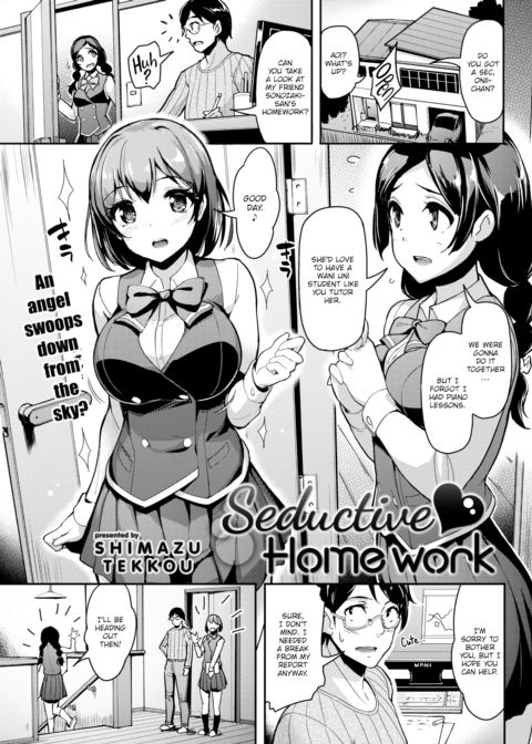 Seductive Homework cover