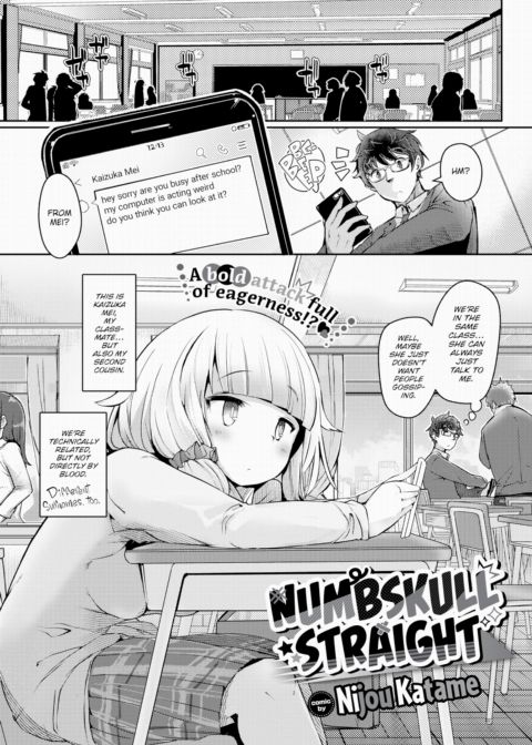 Numbskull Straight cover
