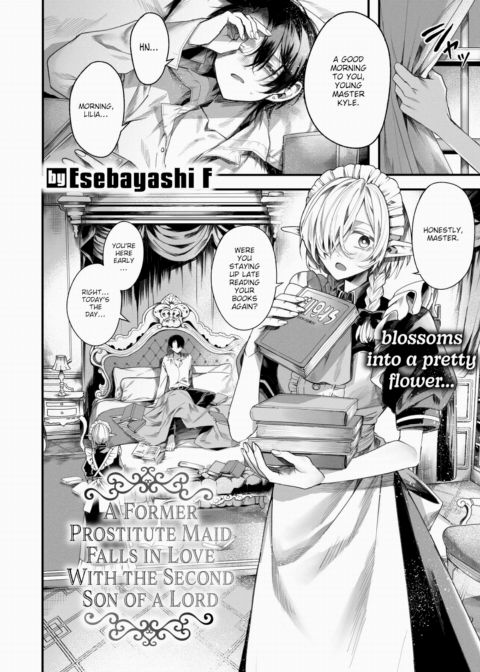 A Former Prostitute Maid Falls in Love With the Second Son of a Lord cover