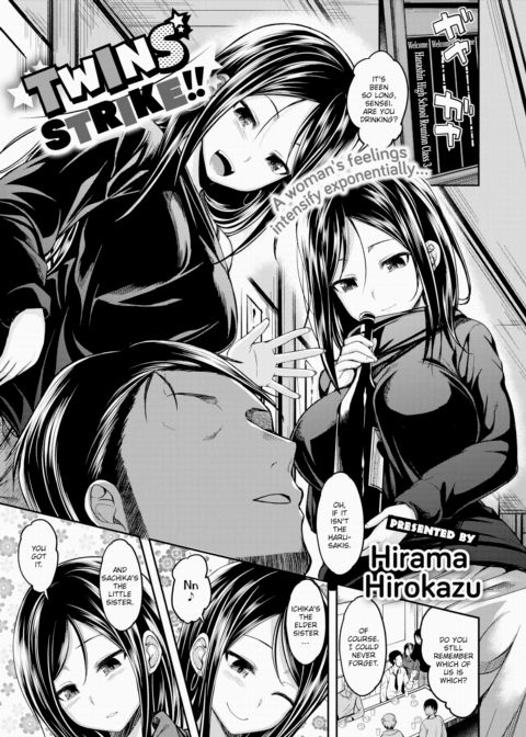 Twins Strike!! cover