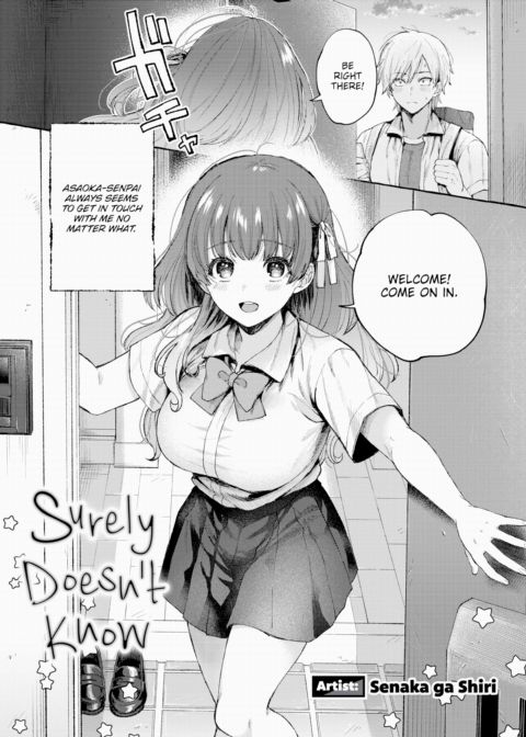 Surely Doesn't Know cover