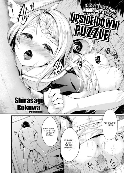 Upside Down Puzzle cover