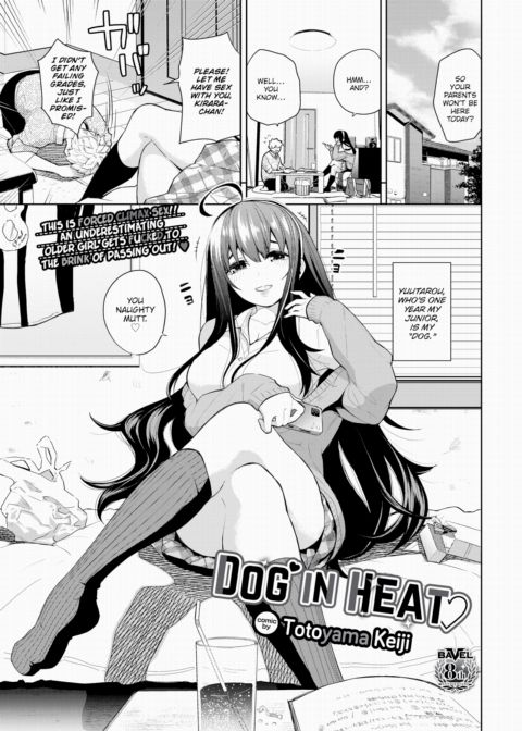 Dog in Heat cover