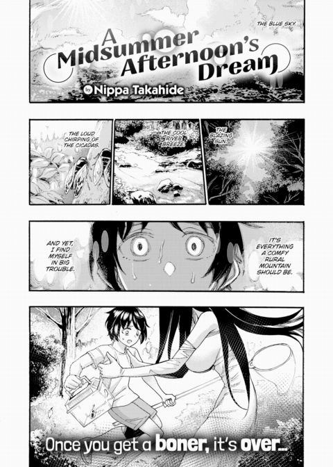 A Midsummer Afternoon's Dream cover