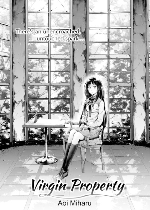 Virgin Property cover