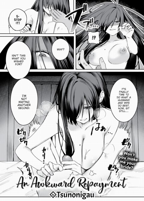 An Awkward Repayment cover
