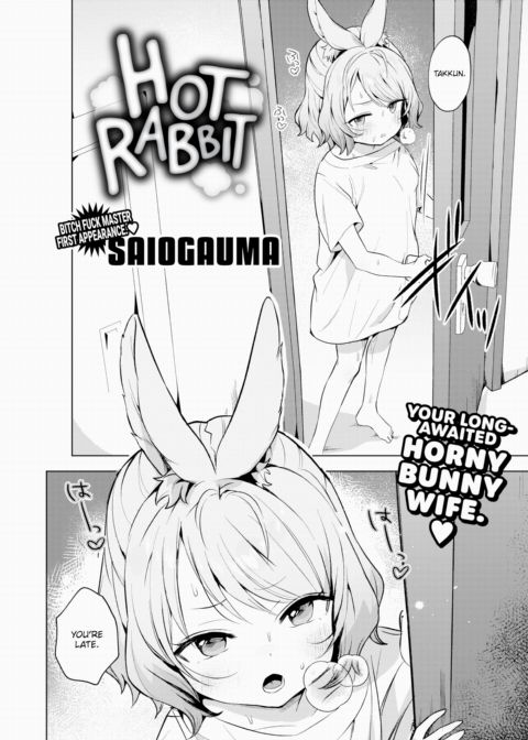 Hot Rabbit cover