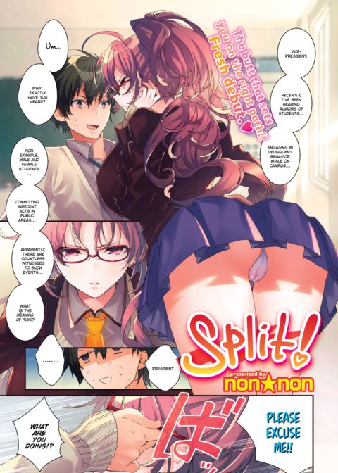 Split! cover