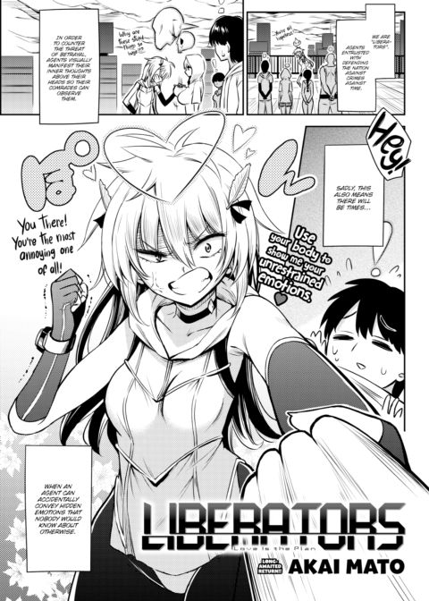 Liberators cover