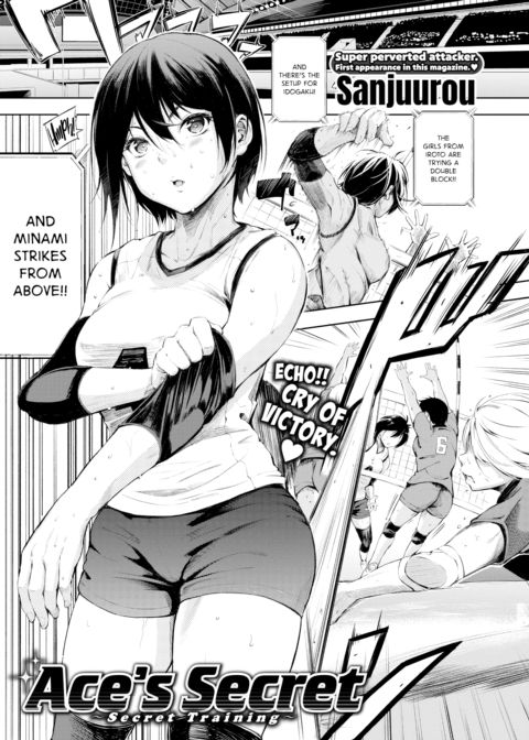Ace's Secret cover