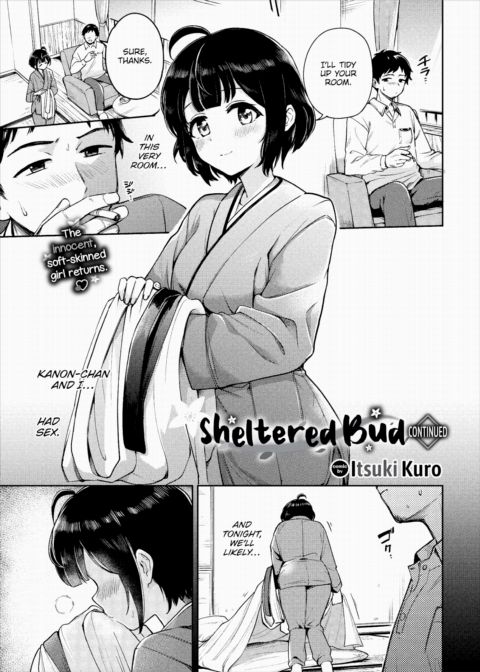 Sheltered Bud - Continued cover