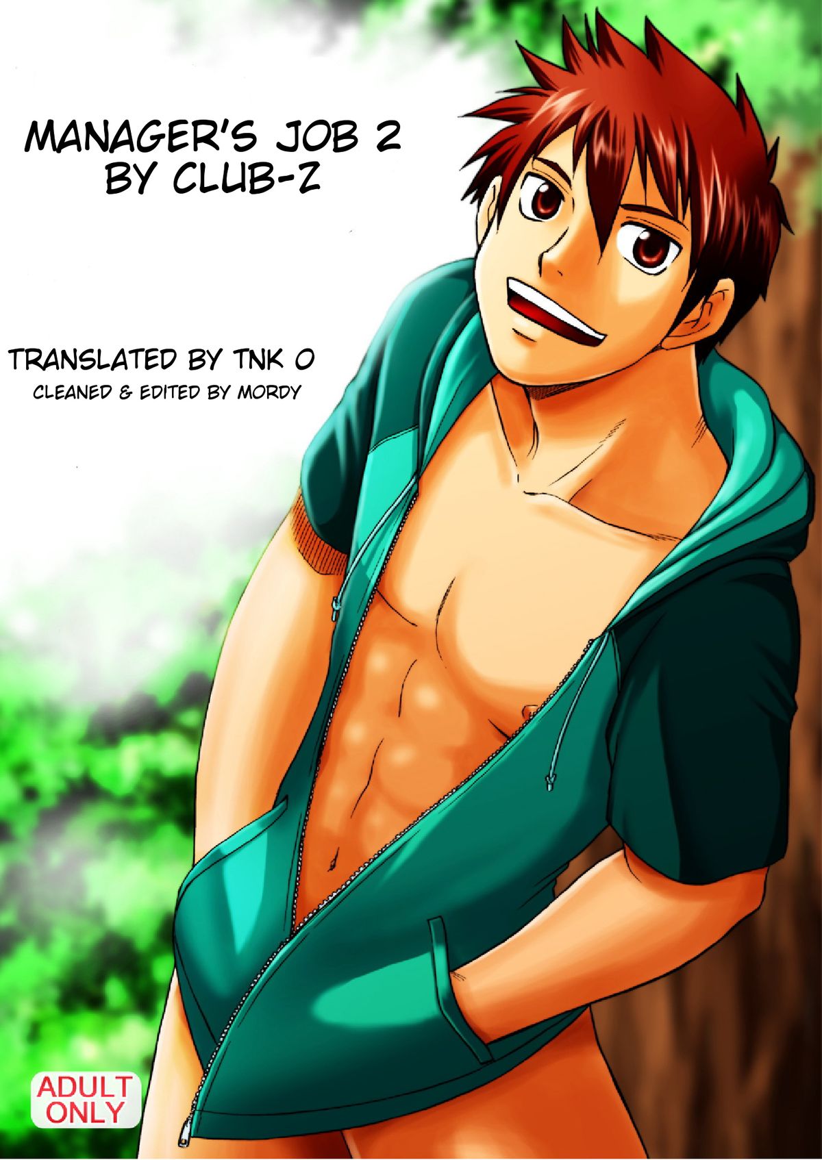 Manager's Job 2 cover
