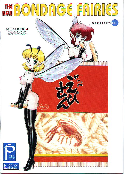 The New Bondage Fairies 04 cover