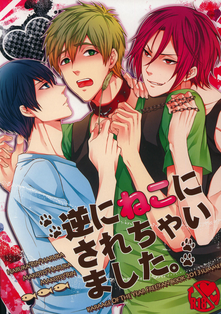 Gyaku ni Neko ni Sarechaimashita. cover