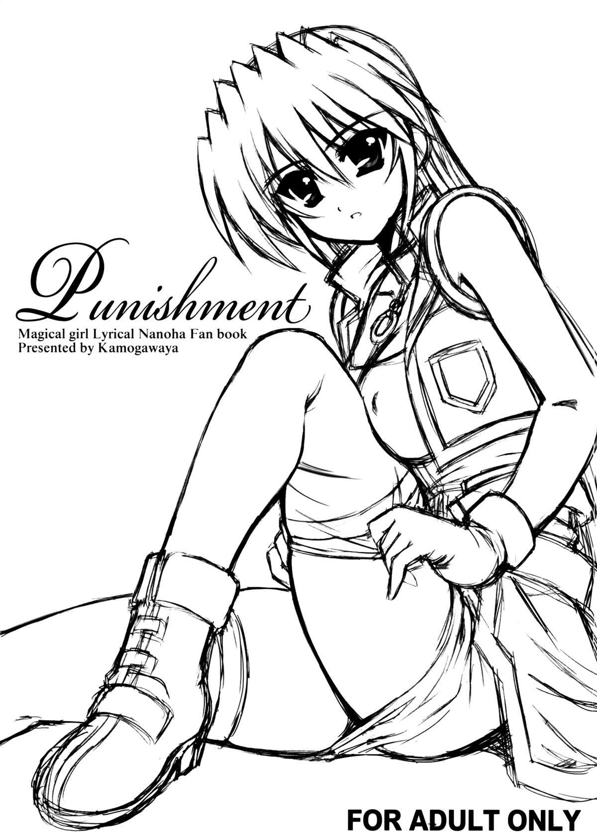 Punishment cover
