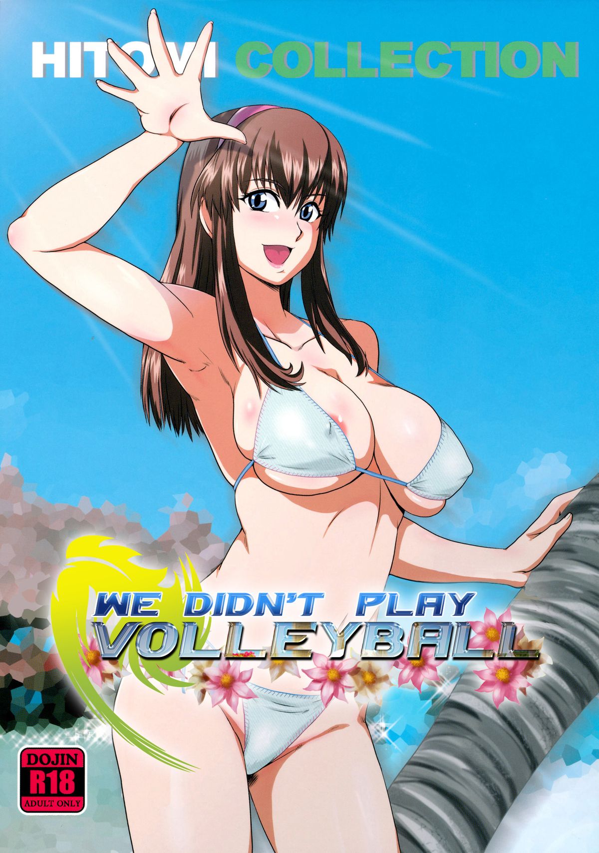 We Didn't Play Volleyball cover