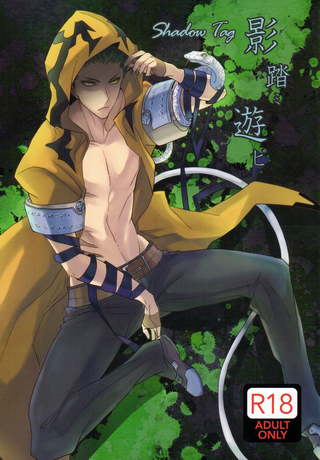 Shadow Tag cover