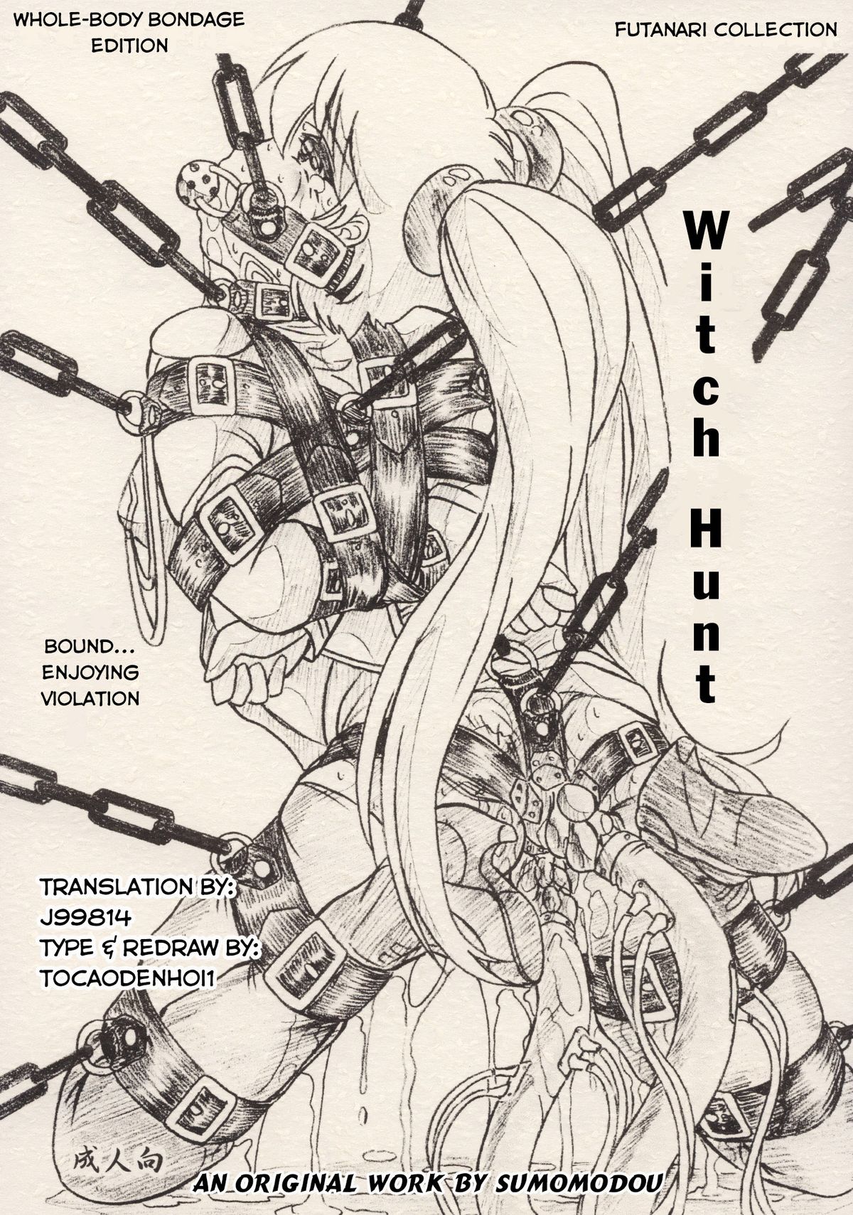 Witch Hunt cover