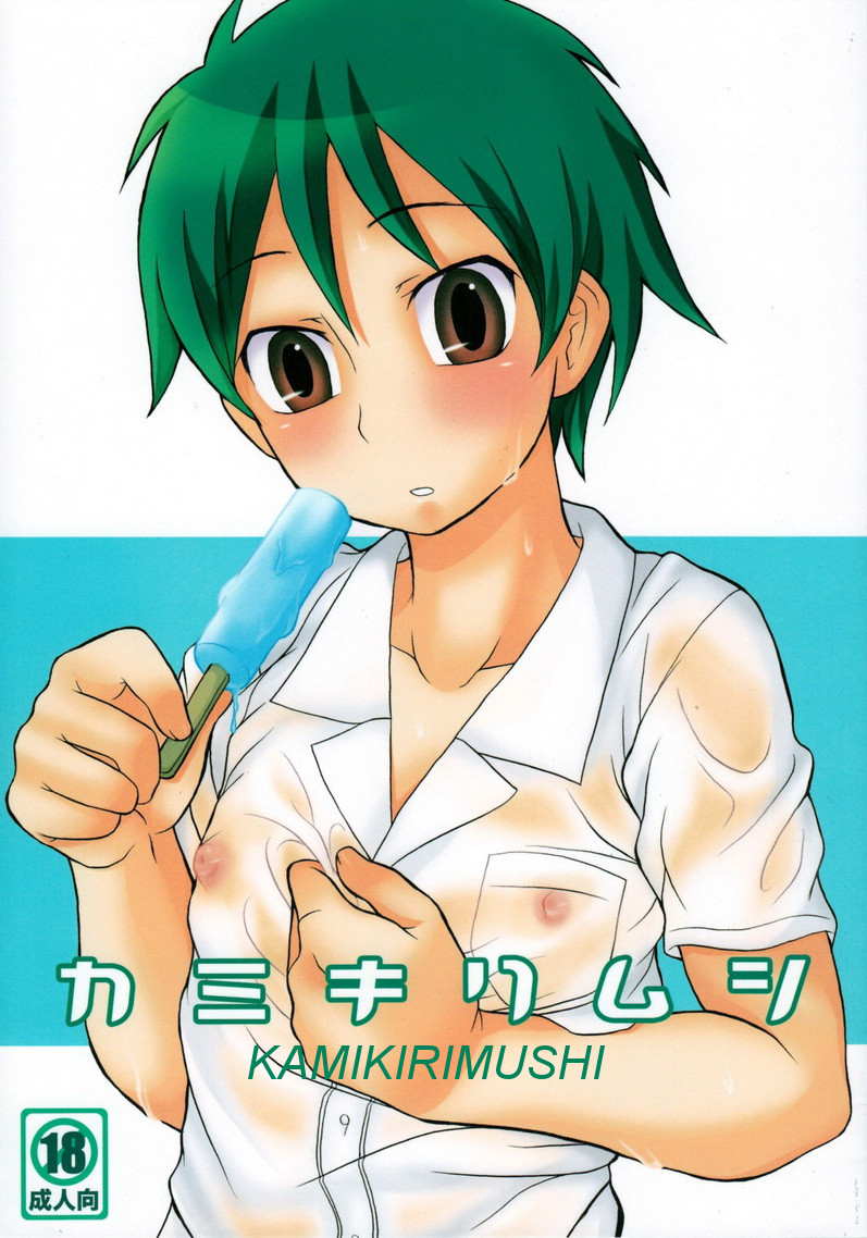 Kamikirimushi cover