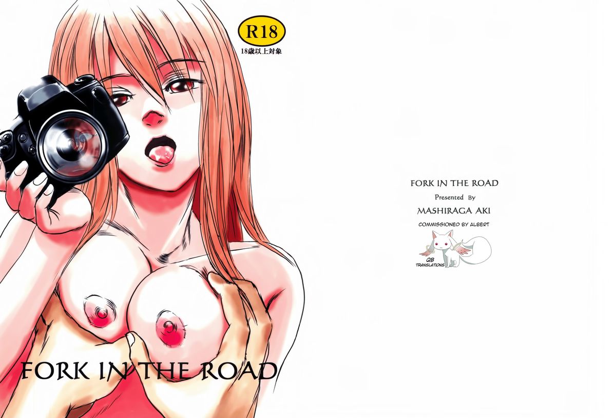 FORK IN THE ROAD cover